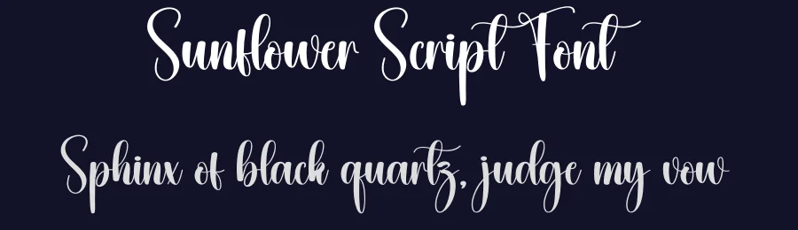 Sunflower Script Font by creativeletter — Script Handwritten Font — thumbnail 2