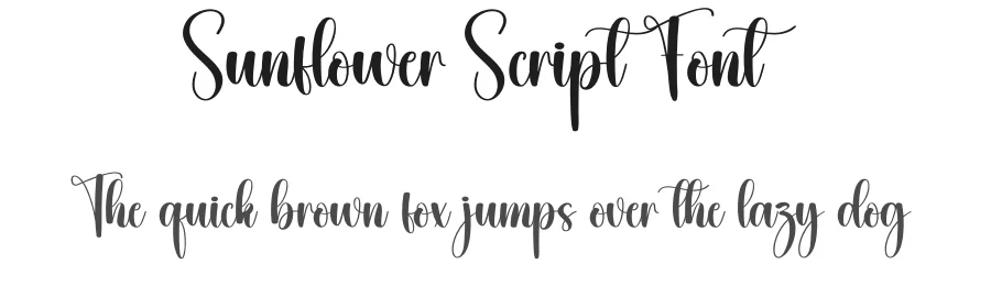 Sunflower Script Font by creativeletter — Script Handwritten Font
