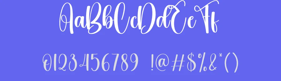 Sunflower Script Font by creativeletter — Script Handwritten Font — thumbnail 3