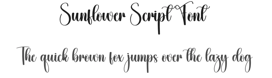 Sunflower Script Font by creativeletter — Script Handwritten Font