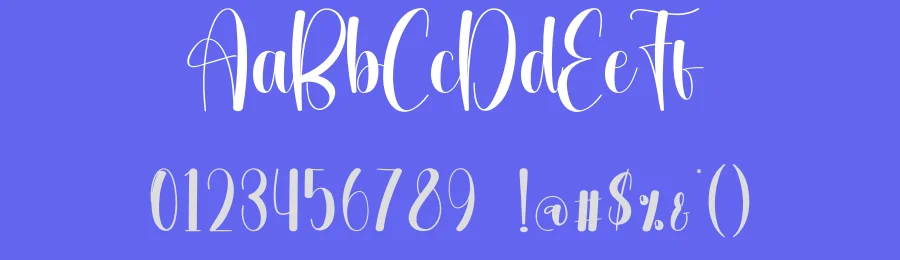 Sunflower Script Font by creativeletter — Script Handwritten Font — thumbnail 3