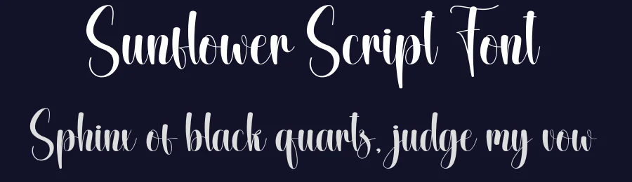 Sunflower Script Font by creativeletter — Script Handwritten Font — thumbnail 2