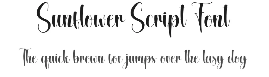 Sunflower Script Font by creativeletter — Script Handwritten Font
