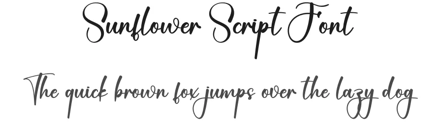 Sunflower Script Font by creativeletter — Script Handwritten Font