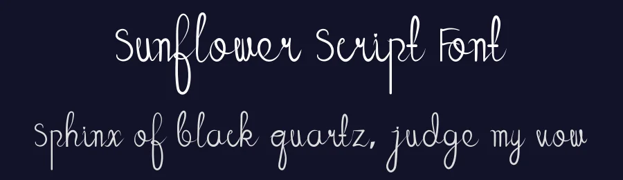 Sunflower Script Font by ronistudio1 — Script Handwritten Font — thumbnail 2