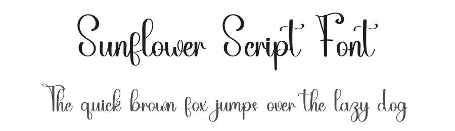 Sunflower Script Font by inermediaSTUDIO — Script Handwritten Font
