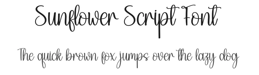 Sunflower Script Font by creativeletter — Script Handwritten Font