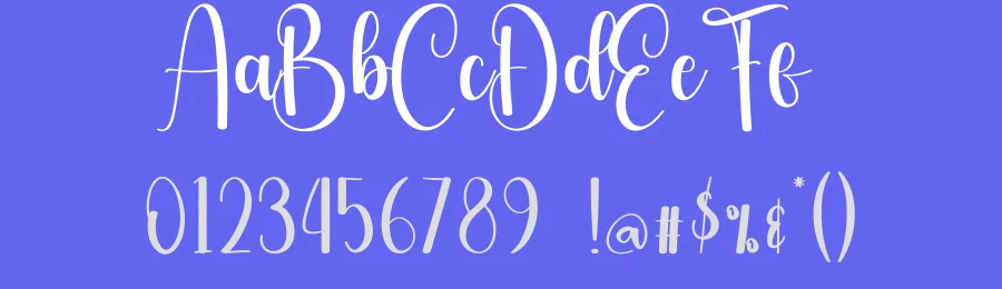 Sunflower Script Typeface by creativeletter — Script Handwritten Font — thumbnail 3