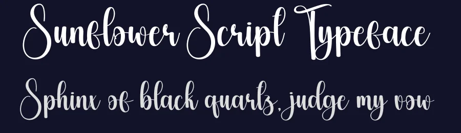Sunflower Script Typeface by creativeletter — Script Handwritten Font — thumbnail 2