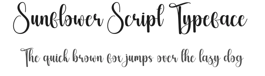 Sunflower Script Typeface by creativeletter — Script Handwritten Font