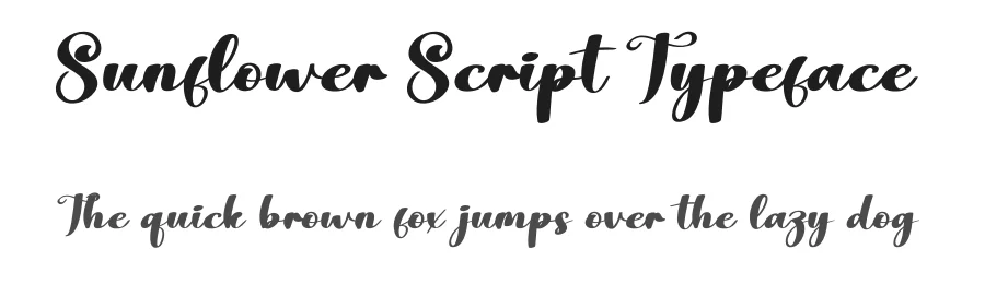Sunflower Script Typeface by creativeletter — Script Handwritten Font
