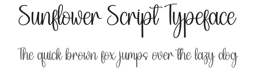 Sunflower Script Typeface by creativeletter — Script Handwritten Font