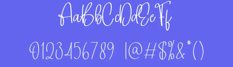 Sunflower Signature Handwritten Font by creativeletter — Script Handwritten Font — thumbnail 3