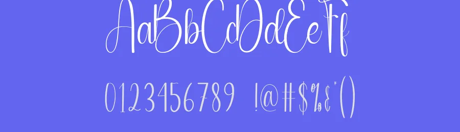 Sunlight Script Font by andikastudio — Script Handwritten Font — thumbnail 3