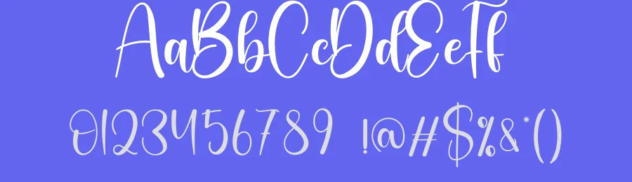 Sunlight Script Font by creativeletter — Script Handwritten Font — thumbnail 3