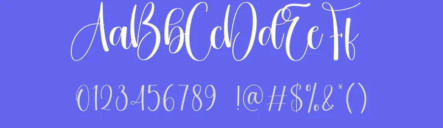Sunlight Script Font by creativeletter — Script Handwritten Font — thumbnail 3