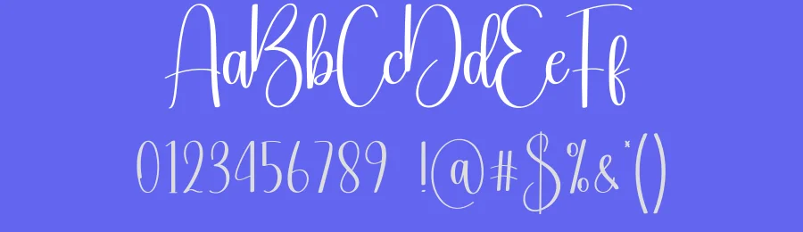 Sunlight Script Typeface by creativeletter — Script Handwritten Font — thumbnail 3