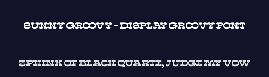 Sunny Groovy – Display Groovy Font by timelesstype.co — Serif Font — thumbnail 2