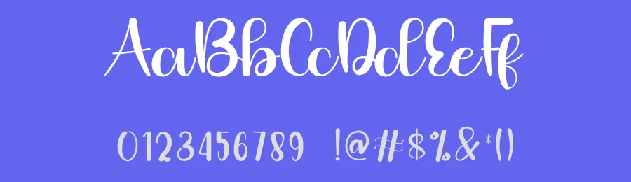 Sunnyday Script Font by inermediaSTUDIO — Script Handwritten Font — thumbnail 3