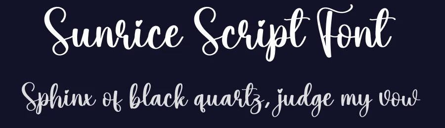 Sunrice Script Font by creativeletter — Script Handwritten Font — thumbnail 2