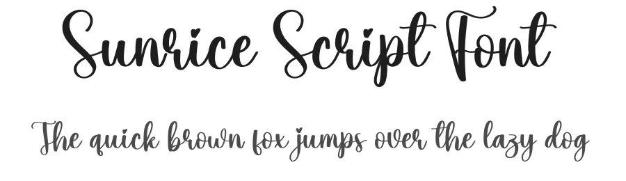 Sunrice Script Font by creativeletter — Script Handwritten Font