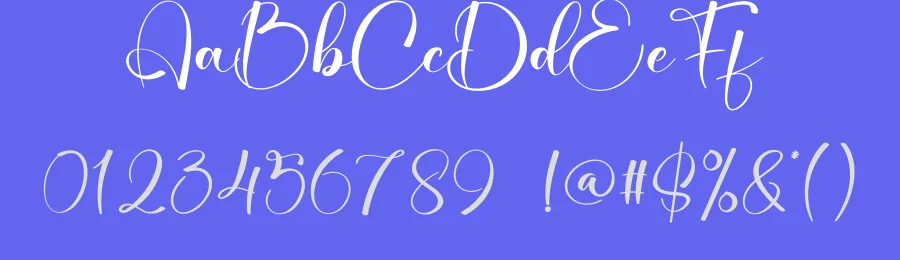 Sunshine Calligraphy Font by creativeletter — Script Handwritten Font — thumbnail 3