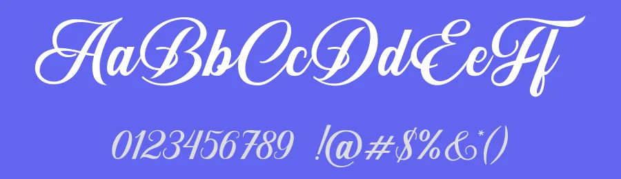 Sunshine Script Font by Lettersiro — Script Handwritten Font — thumbnail 3