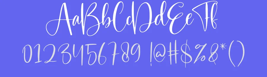 Sunshine Script Typeface by creativeletter — Script Handwritten Font — thumbnail 3