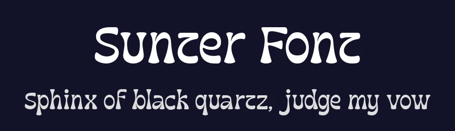 Sunter Font by Dantype — Display Font — thumbnail 2