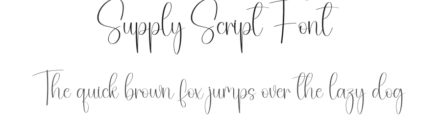 Supply Script Font by creativeletter — Script Handwritten Font