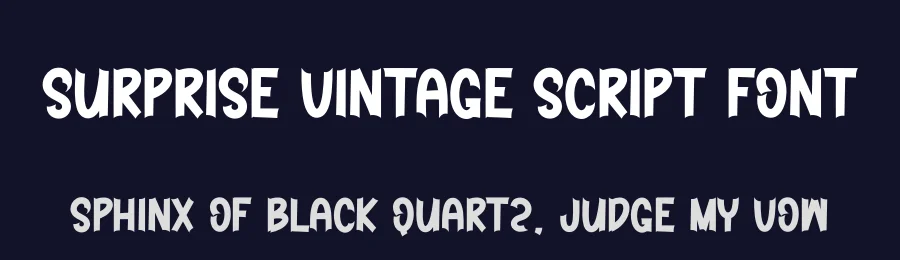 Surprise Vintage Script Font by creativeletter — Display Font — thumbnail 2