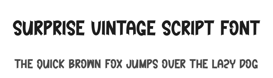 Surprise Vintage Script Font by creativeletter — Display Font