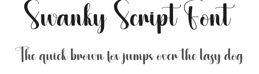 Swanky Script Font by creativeletter — Script Handwritten Font