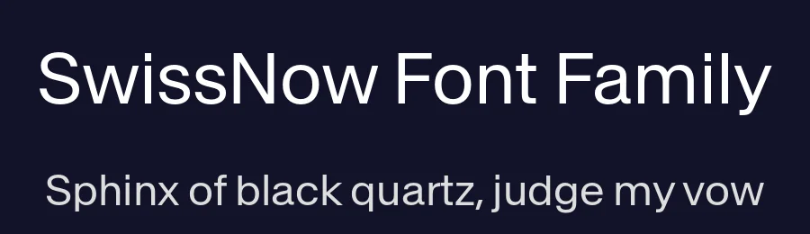SwissNow Font Family by Ian Party — Decorative Font — thumbnail 2