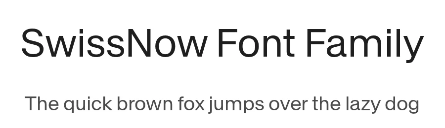SwissNow Font Family by Ian Party — Decorative Font