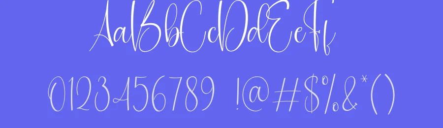 Switched Calligraphy Script Font by creativeletter — Script Handwritten Font — thumbnail 3