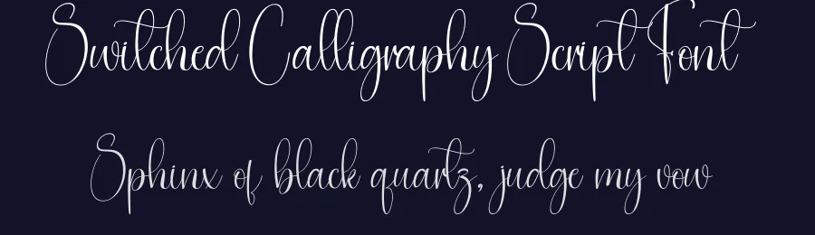 Switched Calligraphy Script Font by creativeletter — Script Handwritten Font — thumbnail 2