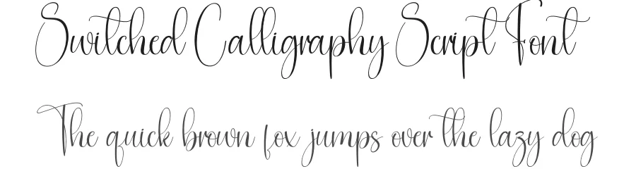 Switched Calligraphy Script Font by creativeletter — Script Handwritten Font