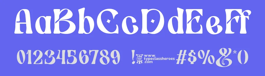 Switella – Modern Decorative Font by TypeClassHeroes — Decorative Font — thumbnail 3