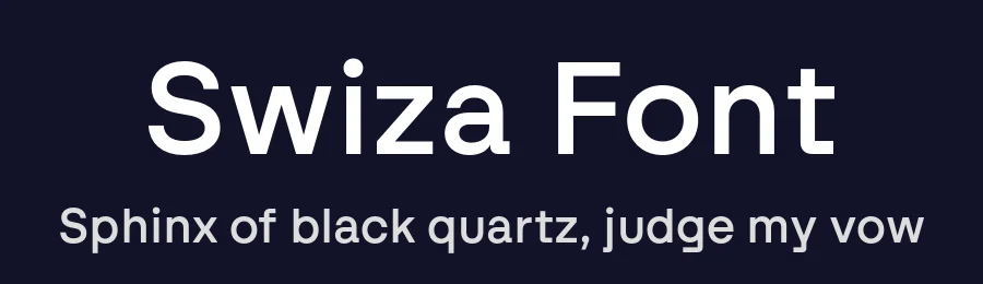 Swiza Font by atipo — Sans Serif Font — thumbnail 2