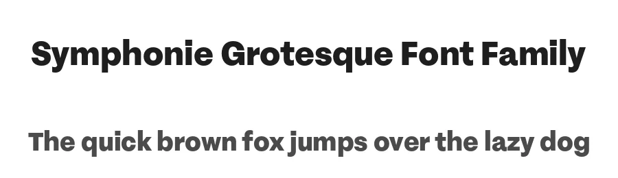 Symphonie Grotesque Font Family by Indian Type Foundry — Sans Serif Font