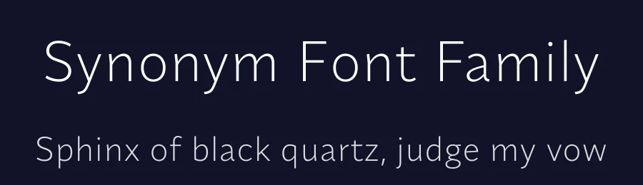 Synonym Font Family by Indian Type Foundry — Sans Serif Font — thumbnail 2