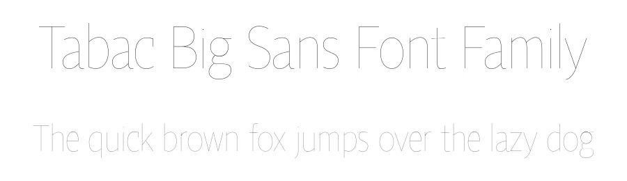 Tabac Big Sans Font Family by Suitcase Type Foundry — Decorative Font