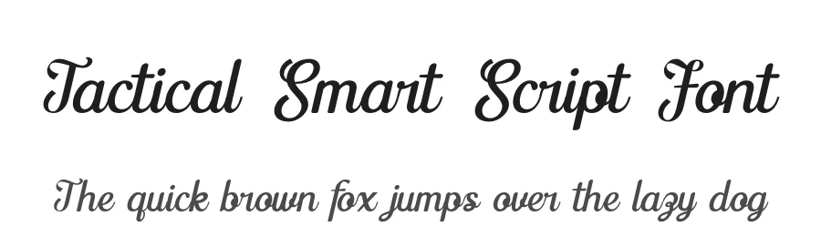 Tactical Smart Script Font by timelesstype.co — Display Font