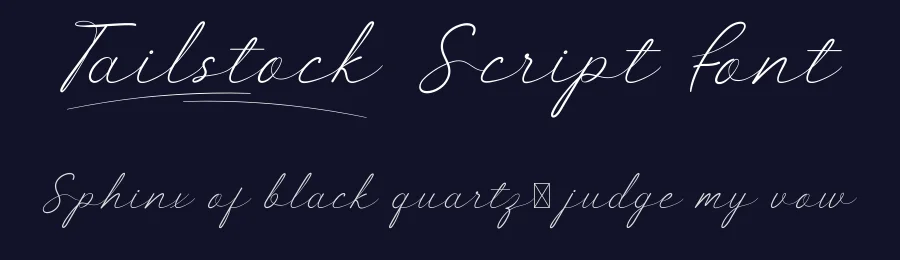 Tailstock Script Font by noahtype — Script Handwritten Font — thumbnail 2