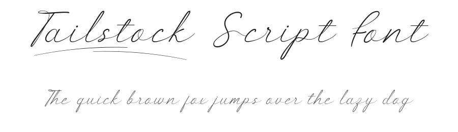 Tailstock Script Font by noahtype — Script Handwritten Font