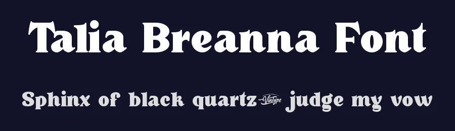Talia Breanna Font by VinType — Display Font — thumbnail 2
