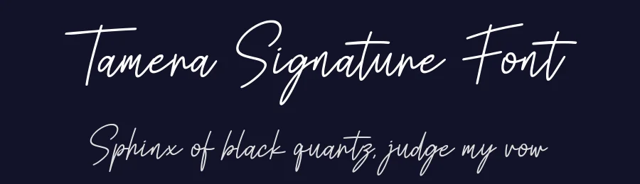 Tamera Signature Font by Funtype — Serif Font — thumbnail 2
