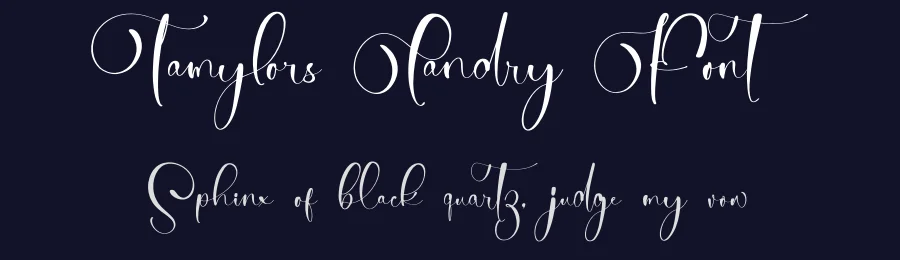 Tamylors Landry Font by stylishtype.co — Script Handwritten Font — thumbnail 2