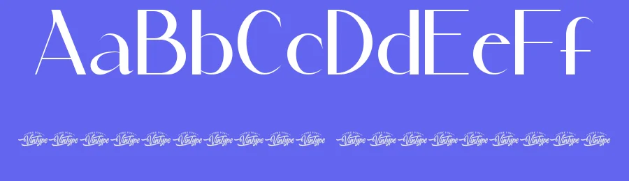 Tannia Karina Font by VinType — Display Font — thumbnail 3